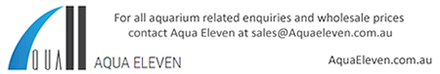 Aqua Eleven - for all Aquarium related enquiries